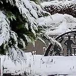 Harz Haennig 1 * Wieda