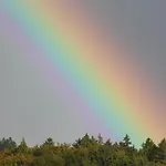 Harz Haennig 1 *