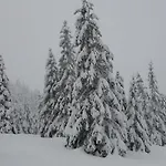Harz Haennig 1