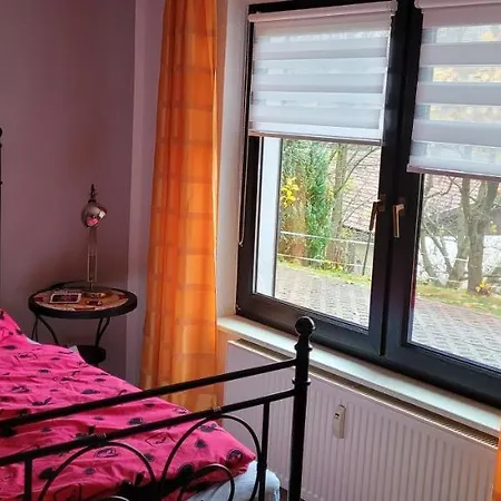 Harz Haennig 1 비다