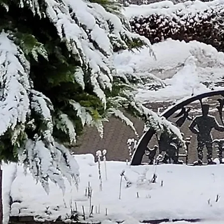 Harz Haennig 1 * 비다