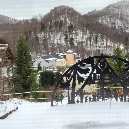 Harz Haennig 1 아파트 *