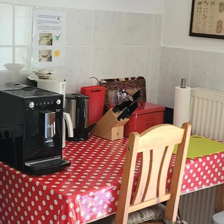 Harz Haennig 1 비다