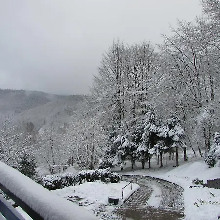 아파트 Harz Haennig 1