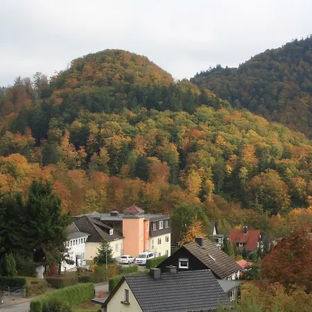 Harz Haennig 1 Wieda