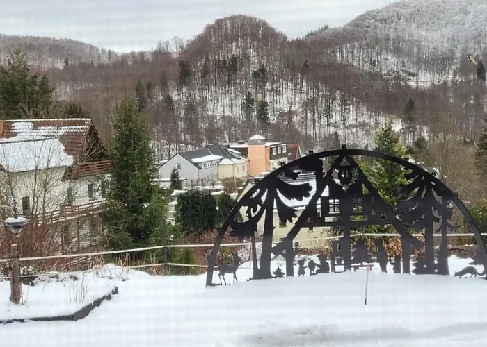 Harz Haennig 1 Appartement *