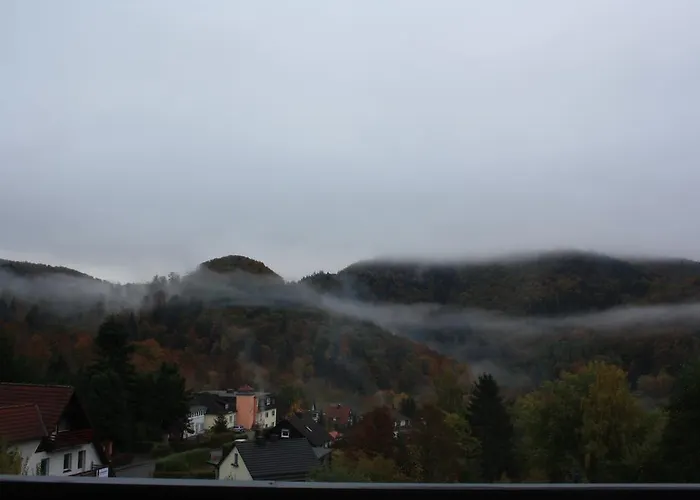 Harz Haennig 1 Wieda