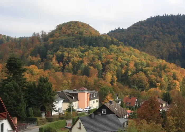 Harz Haennig 1 Wieda